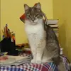 Отзыв от Аня Алехина